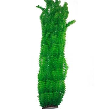 Hugo XL Plant 1 Green 95CM