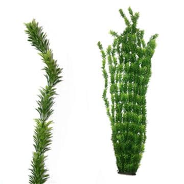 Hugo XL Plant 4 Green 95CM