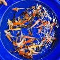 Koi For Sale 4