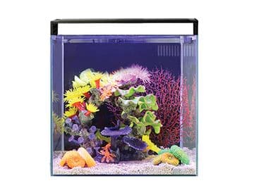Nano Reef 35 Aquarium