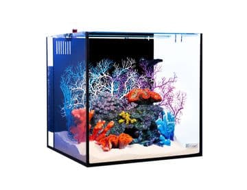 Nano Reef 80 Aquarium