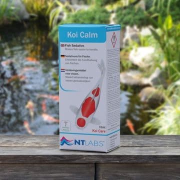 NT Koi Care Koi Calm