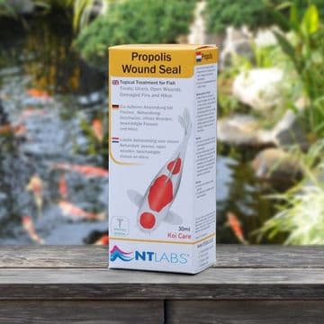 NT Koi Care Propolis 30ml