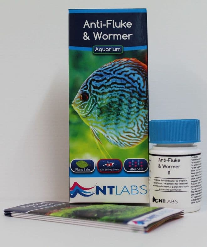NT Labs Anti Fluke & Wormer 20ml