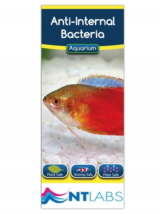 NT Labs Anti Internal Bacteria 250ml