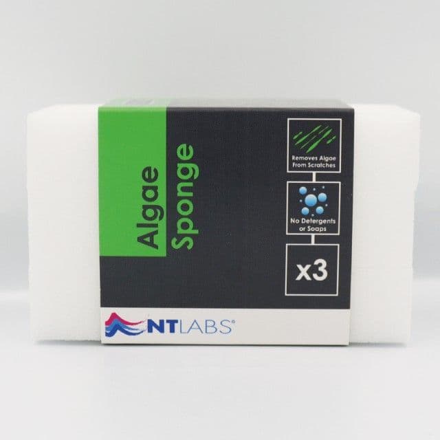 NT Labs Pro Care Algae Sponge