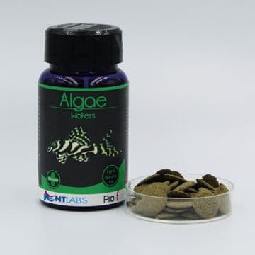 NT Labs Pro F Algae Wafers 40g