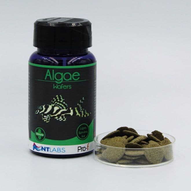 NT Labs Pro F Algae Wafers 40g