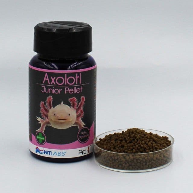 NT Labs Pro F Axolotl Junior 60g
