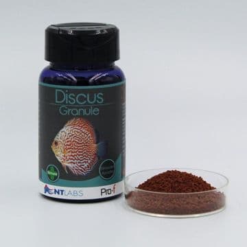 NT Labs Pro F Discus Granule 35g