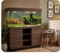 Oakstyle Original 230 Walnut