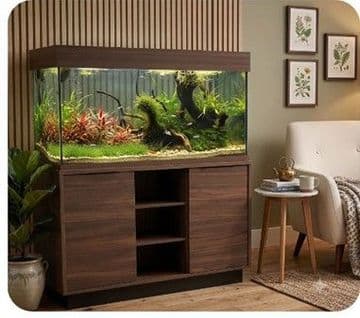 Oakstyle Original 230 Walnut
