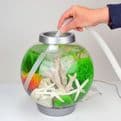 Oase Biorb Cleaner Pump