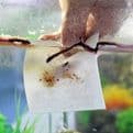 Oase Biorb Cleaning Pads