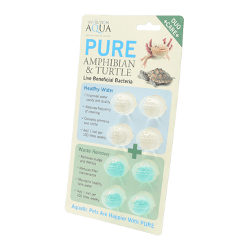 Pure Amphibian & Turtle Duo Care
