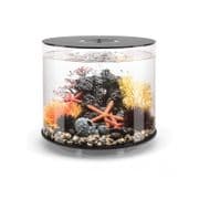 Setting Up-Tropical Tank