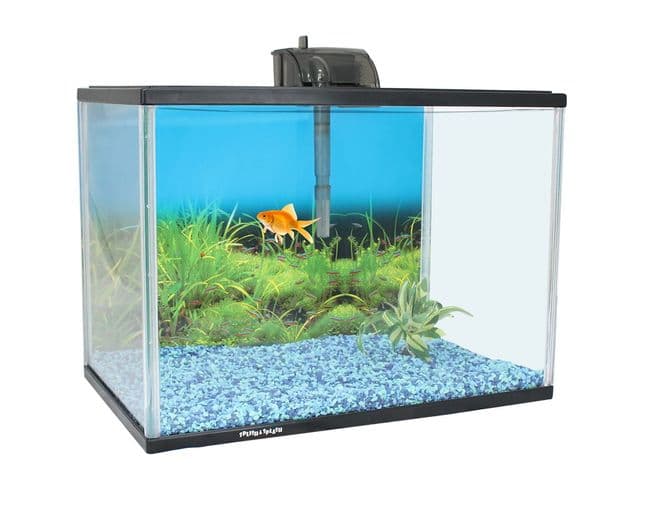 Splish Splash Starter Kit