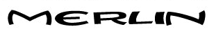 Merlin Frame Logo
