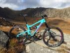 SantaCruz Block Rim decals