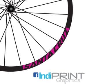 SantaCruz Block Rim decals
