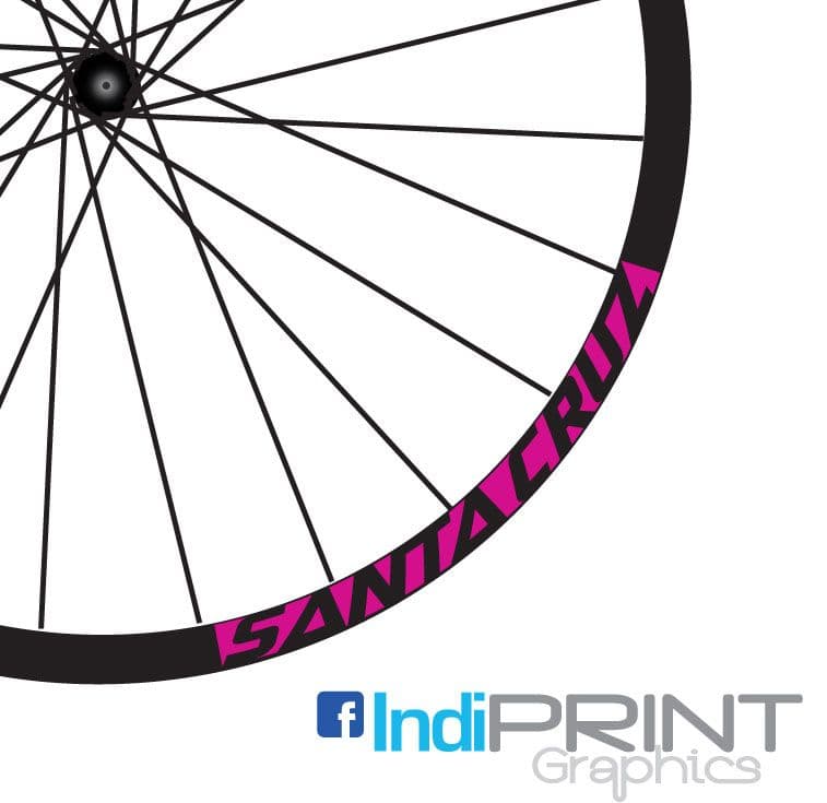 SantaCruz Block Rim decals