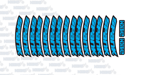 Spank Spike 2021 Rim Graphics