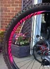 Zebra/Tiger Print Section Rim Decal