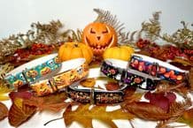 BioThane® Buckle Collar - Autumn & Halloween collection