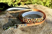 BioThane® Printed Buckle Collar - Leopard Print