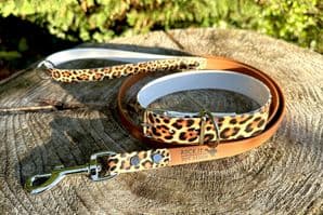 BioThane® Printed Buckle Collar - Leopard Print