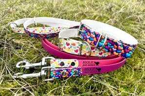 BioThane® Printed Buckle Collar - Love Hearts
