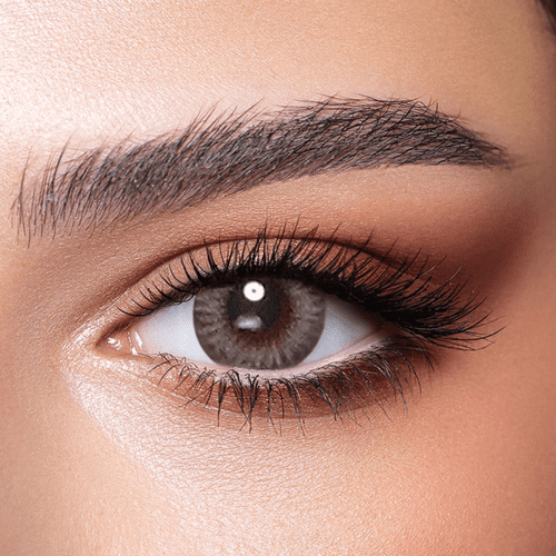 Bella One Day Platinum Gray Coloured 10 Daily Contact Lenses