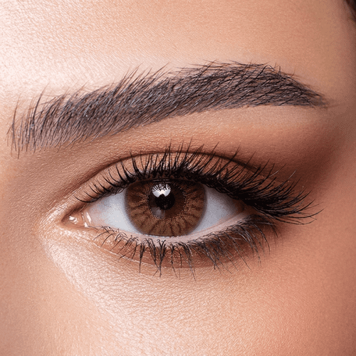 Bella One Day Radiant Hazelnut Coloured 10 Daily Contact Lenses