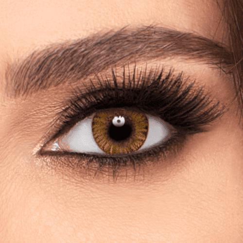 GoodLook 3 Tone Hazel  Yearly Contact Lenses