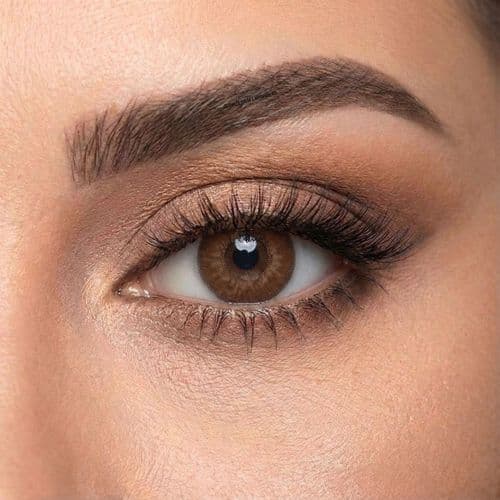 GoodLook Colours Brown Coloured Yearly Contact Lenses – 3 Tone Effect, Natural Look