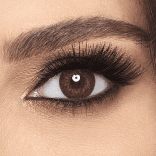 GoodLook Colours Brown Yearly Contact Lenses