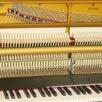 Elysian 109cm (UP109D) Modern Upright Piano Black NEW