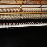 Elysian 111cm (EU110S) Traditional Upright Piano Black New
