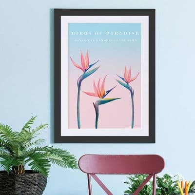 Birds Of Paradise Botanical Art