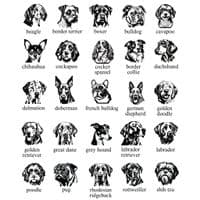 Personalised Embroidered Dog Hoodie