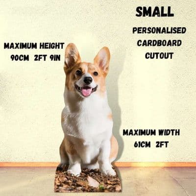 1 SMALL CUSTOM CARDBOARD CUT OUT MAXIMUM HEIGHT 2FT 9IN