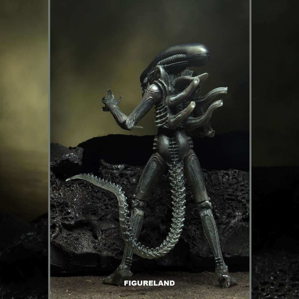 ALIEN 40TH ANNIVERSARY WAVE 4 HR GIGERS ALIEN ACTION FIGURE FROM NECA