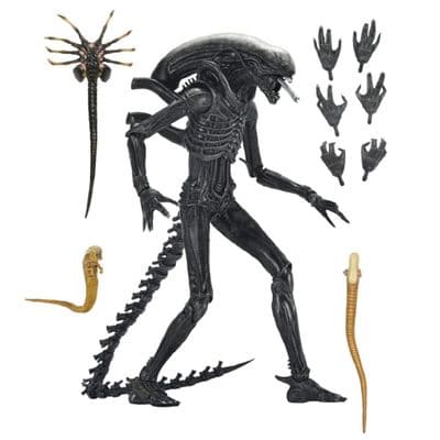 ALIEN ROMULUS ULTIMATE XENOMORPH XX121 7 INCH SCALE ACTION FIGURE FROM NECA