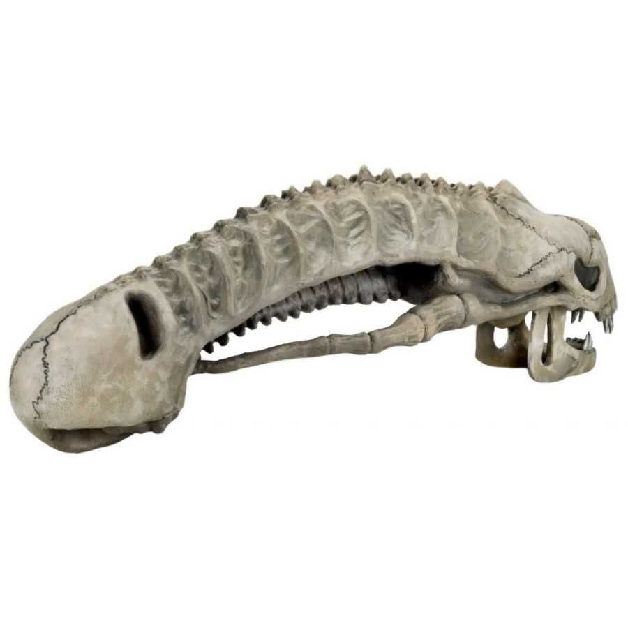 ALIENS FOAM PROP REPLICA 36" ALIEN XENOMORPH SKULL FROM NECA