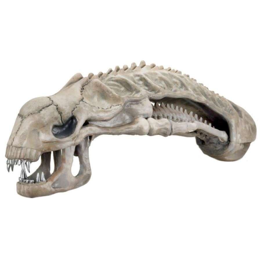 ALIENS FOAM PROP REPLICA 36" ALIEN XENOMORPH SKULL FROM NECA