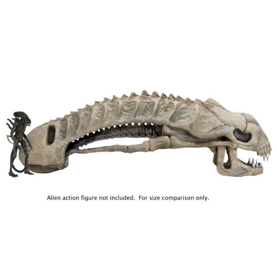 ALIENS FOAM PROP REPLICA 36" ALIEN XENOMORPH SKULL FROM NECA