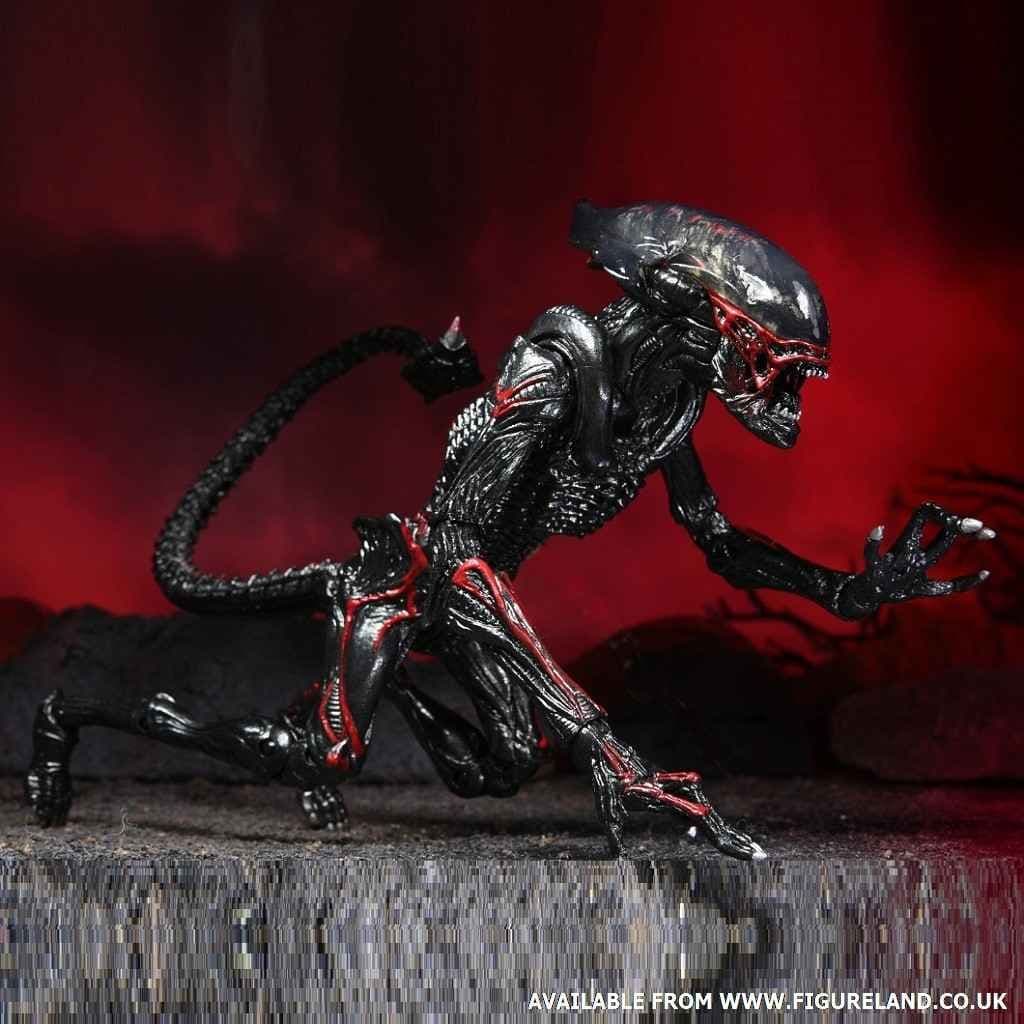 Figurine NECA Night Cougar Alien 7 Original Xenomorph Big
