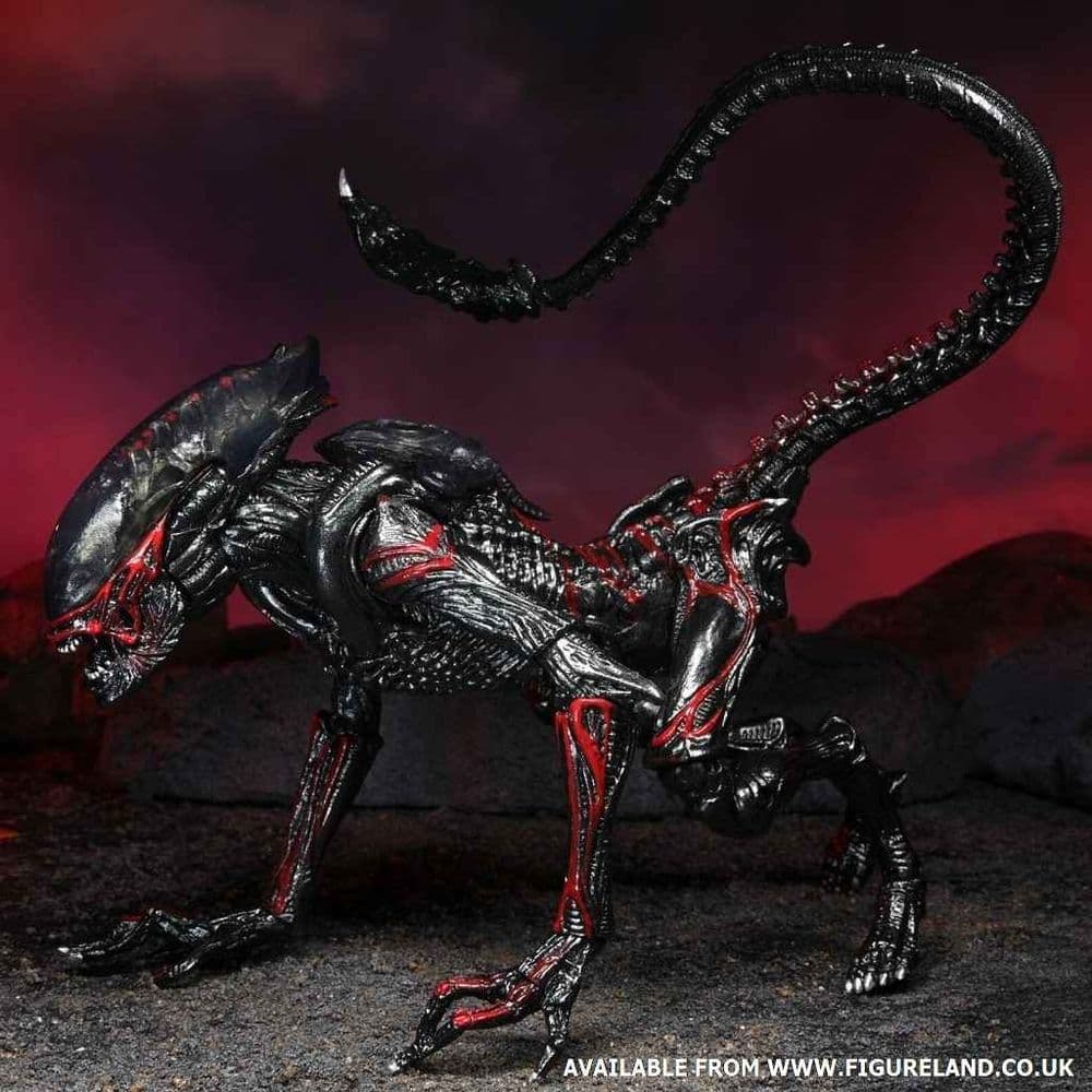 ALIENS NIGHT COUGAR ALIEN & x28;KENNER TRIBUTE& x29; 7& x22; SCALE ...