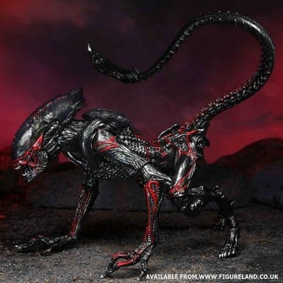 ALIENS NIGHT COUGAR ALIEN (KENNER TRIBUTE) 7" SCALE ACTION FIGURE FROM NECA