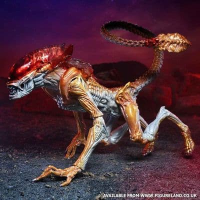 ALIENS PANTHER ALIEN (KENNER TRIBUTE) 7" SCALE ACTION FIGURE FROM NECA